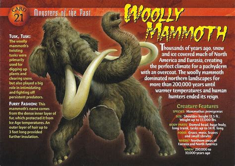 Mammoth Monsters: A New Twist on Magic Card Collecting